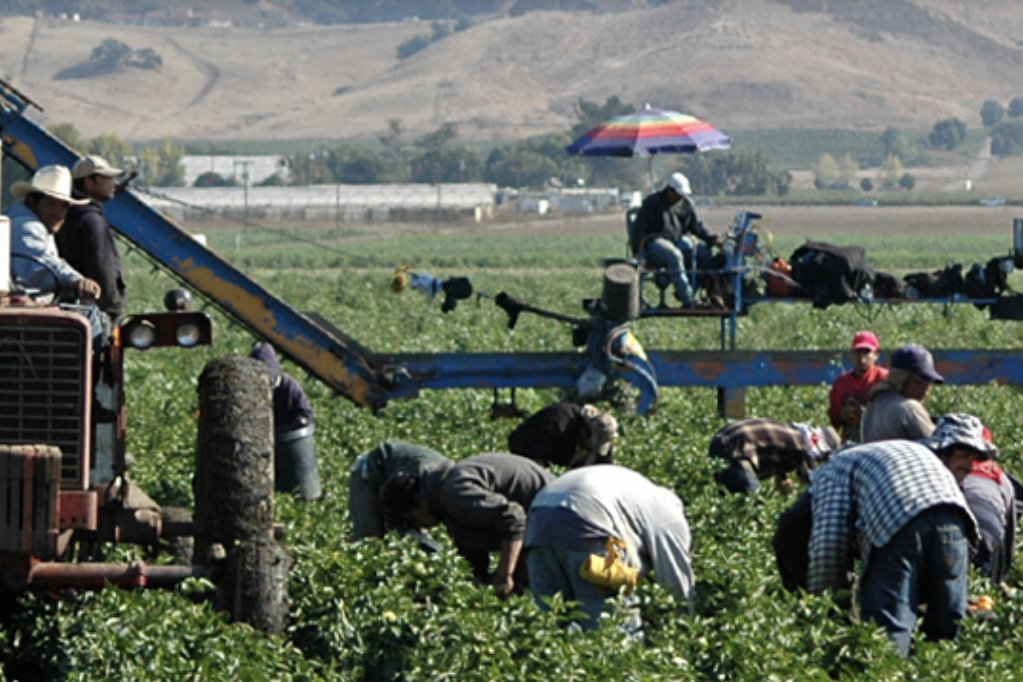 Deason Law, P.C Houston,  Office