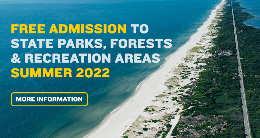 Gertner & Mandel, LLC Wall, NJ Office