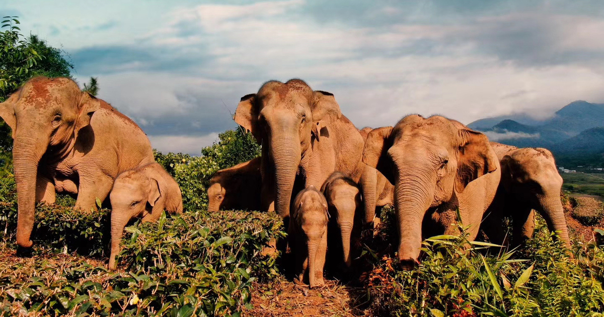 Denise Zheng Sydney, Australia Office