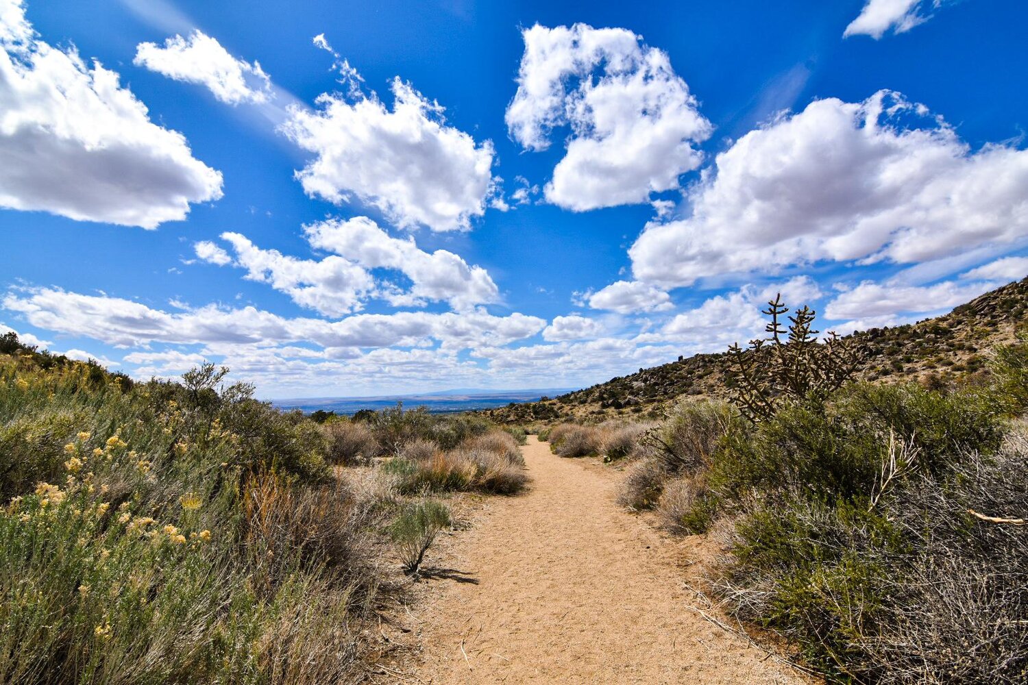 Davis & Gilchrist, P.C Albuquerque,  Office