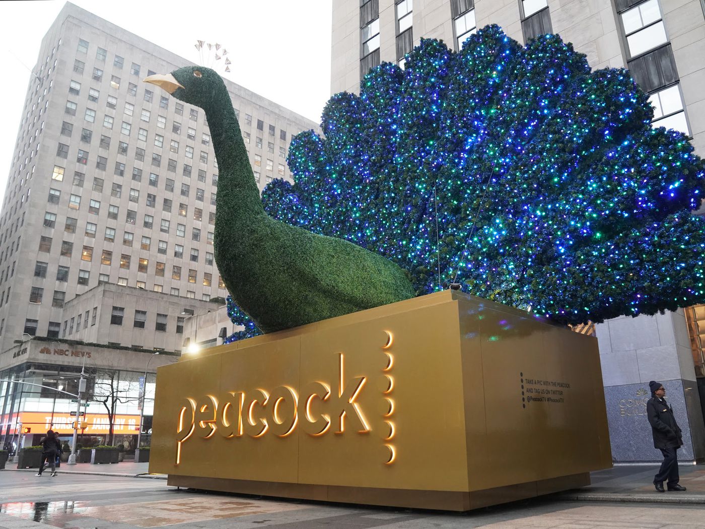 Peacock Law P.C New York City, NY Office