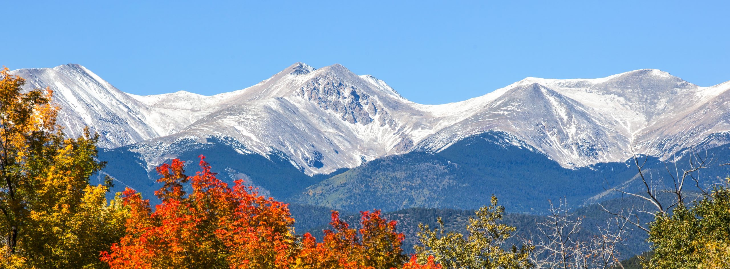 McConaughy & Sarkissian, P.C Englewood, CO Office