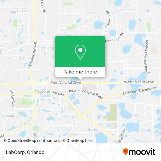 Anouge & Associates Orlando, FL Office