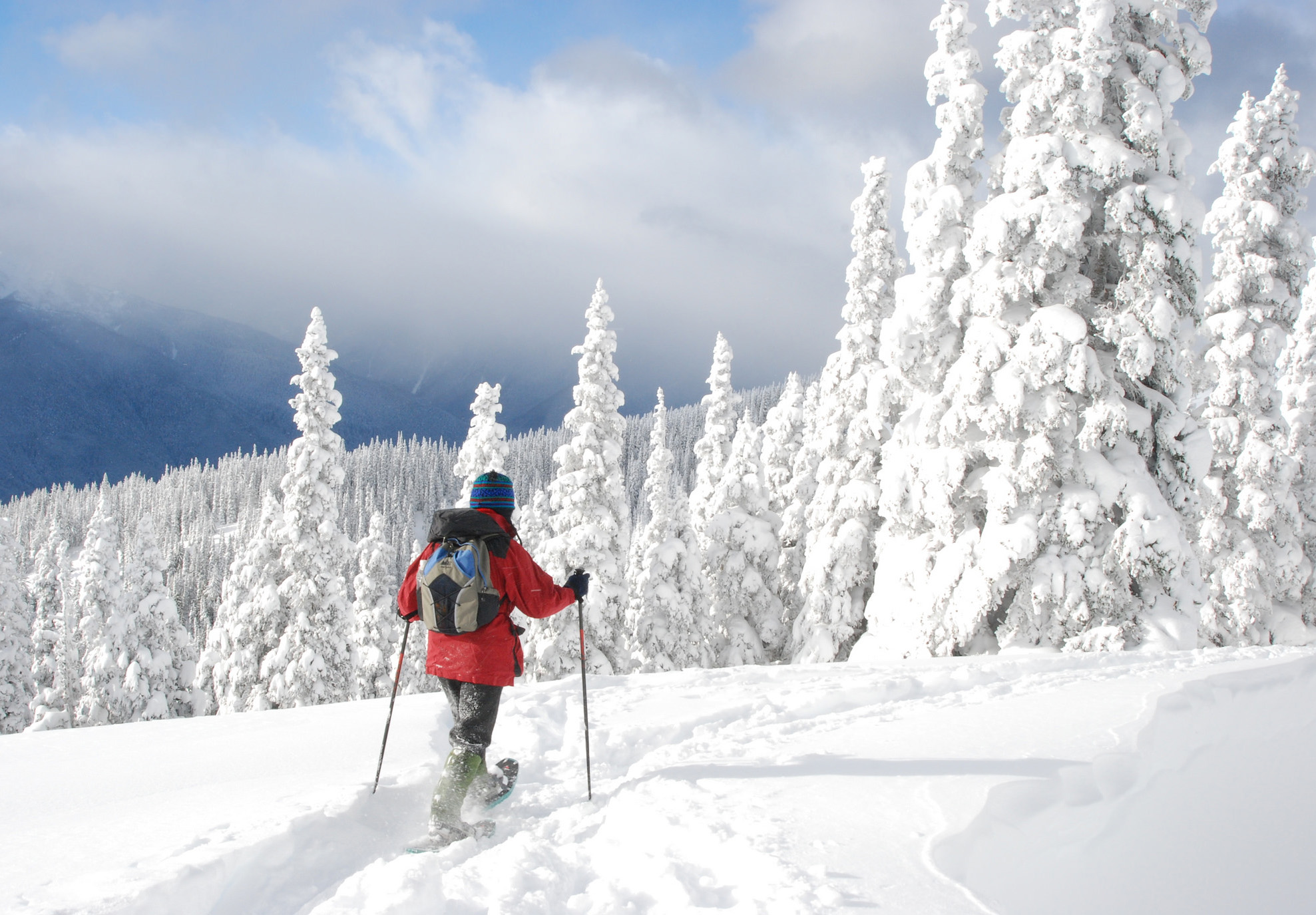 Bayard, P.A New York, NY Office