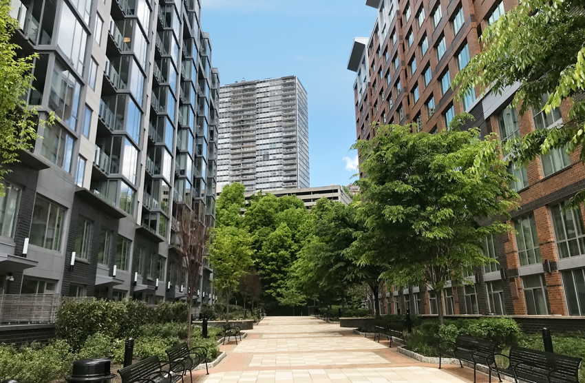 The Cintron Firm, LLC Ridgefield Park,  Office