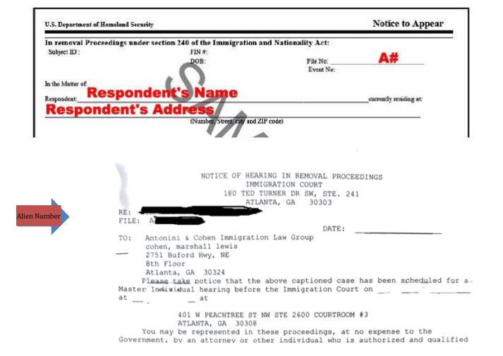 Antonini & Cohen Immigration Law Group, LLC Atlanta,  Office