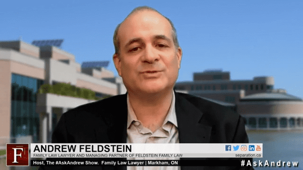 Feldstein Family Law Group PC Markham, Canada Office