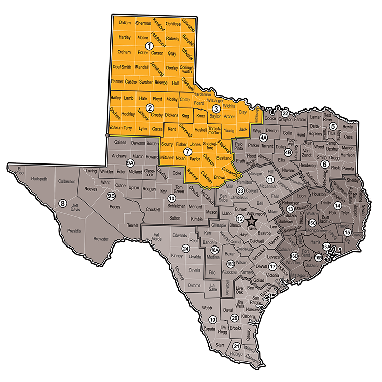 The Law Office of Natalie Gregg Allen, TX Office