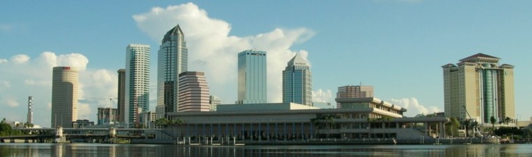 Law Office of Navin R. Pasem, P.L Tampa,  Office