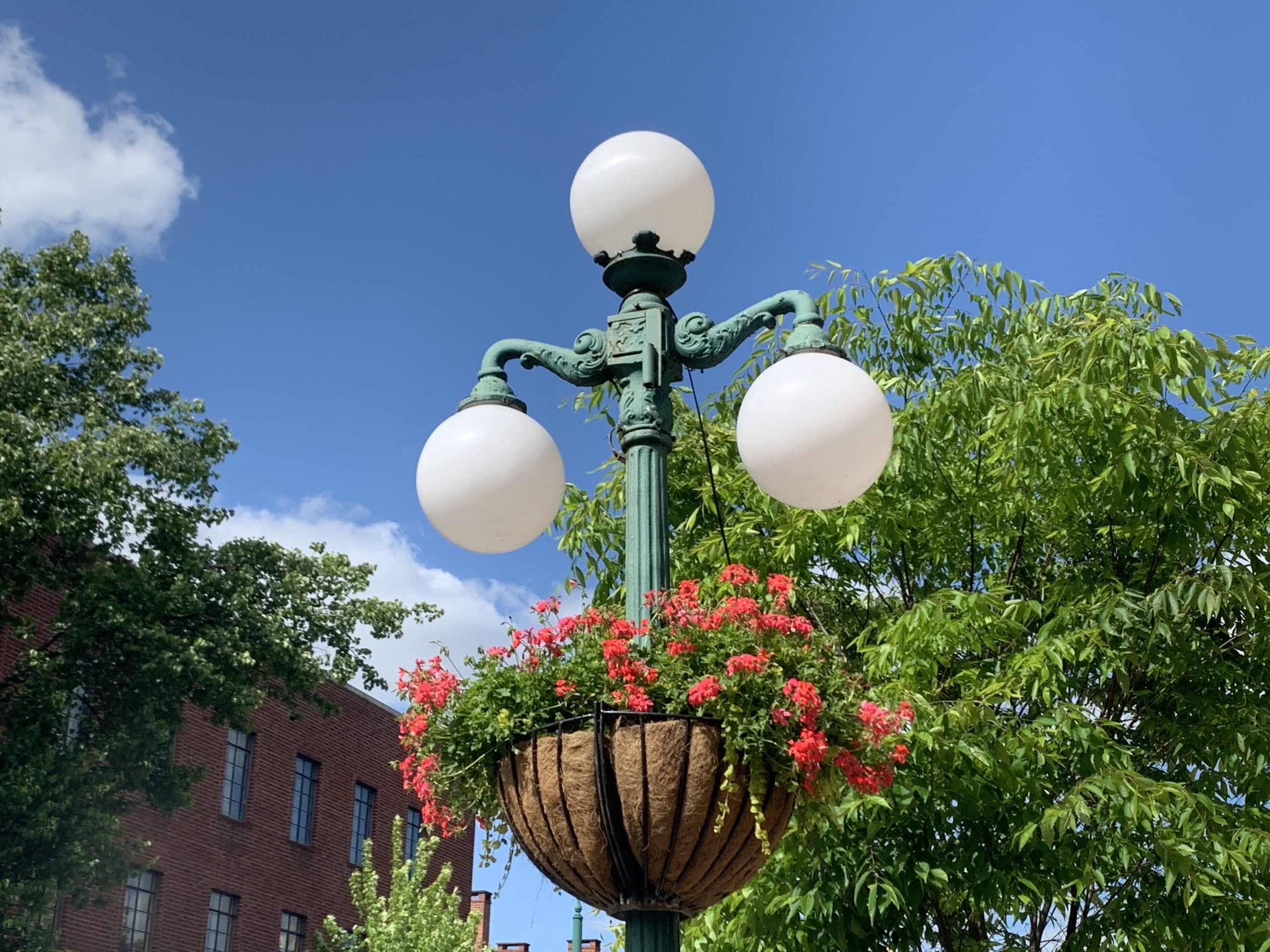 Graham C. Showalter, Attorney Lewisburg, PA Office