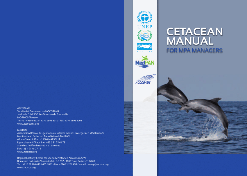 Tempest Legal Services Monaco Office