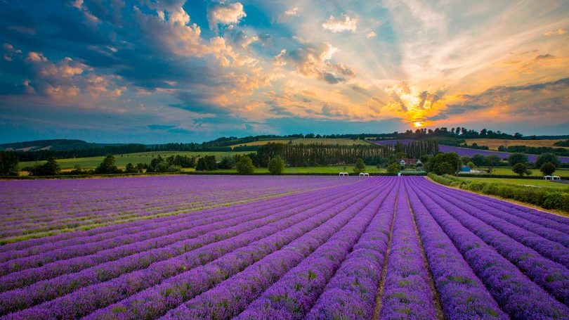 Clarke Kiernan LLP Tonbridge, UK-England Office