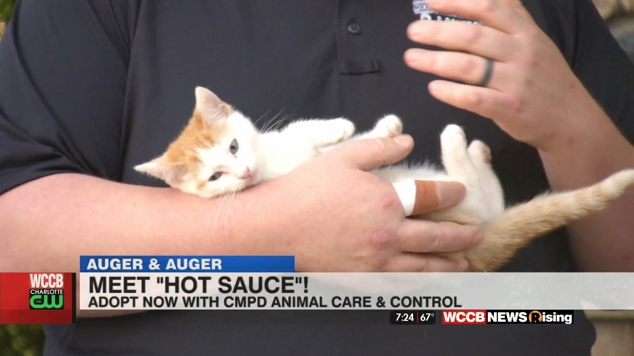 Auger & Auger Charlotte, NC Office