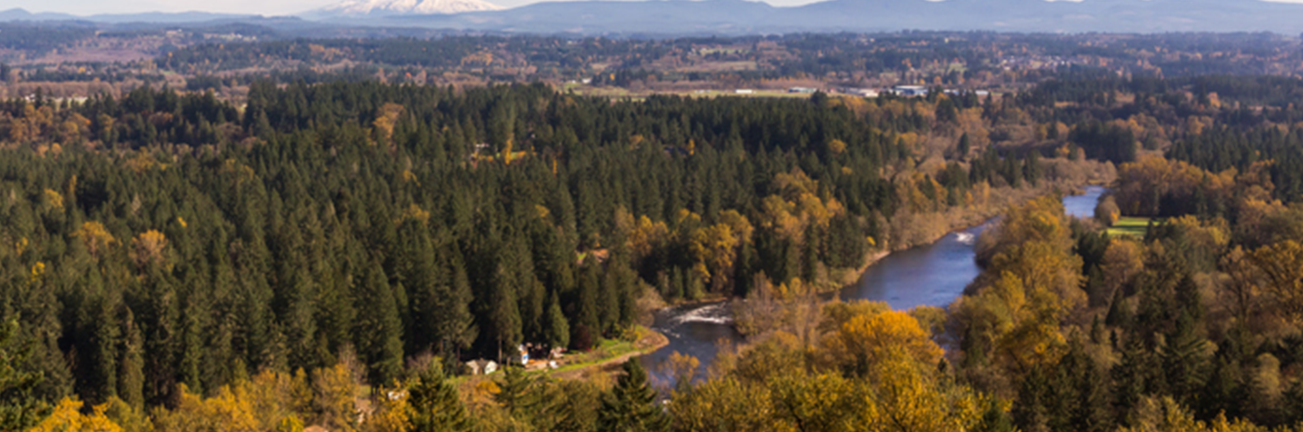 Shlesinger & deVilleneuve Attorneys PC Redmond, OR Office