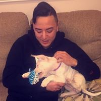 Eraclides Gelman Fort Myers, FL Office