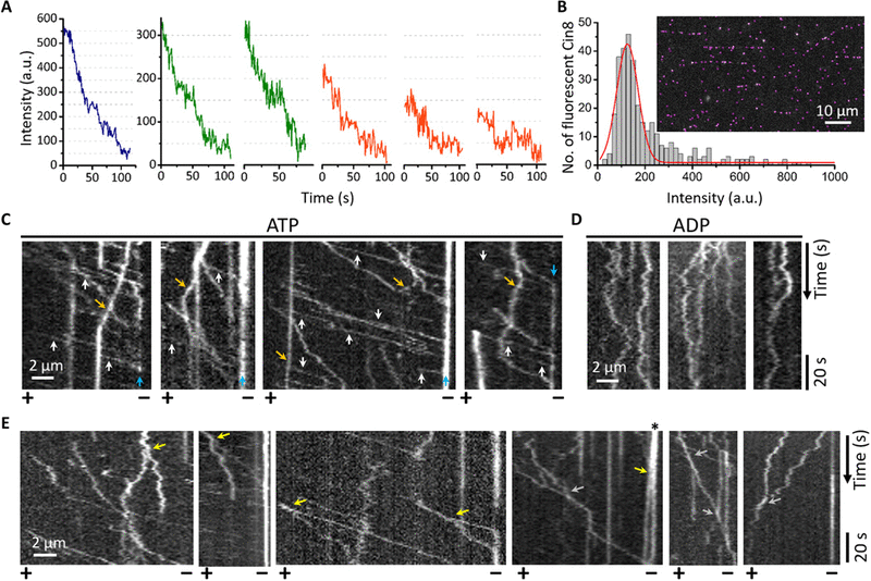 CMS Legal M�nchen, Germany Office