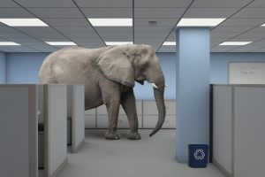 Next Phase Legal LLC Norfolk, MA Office