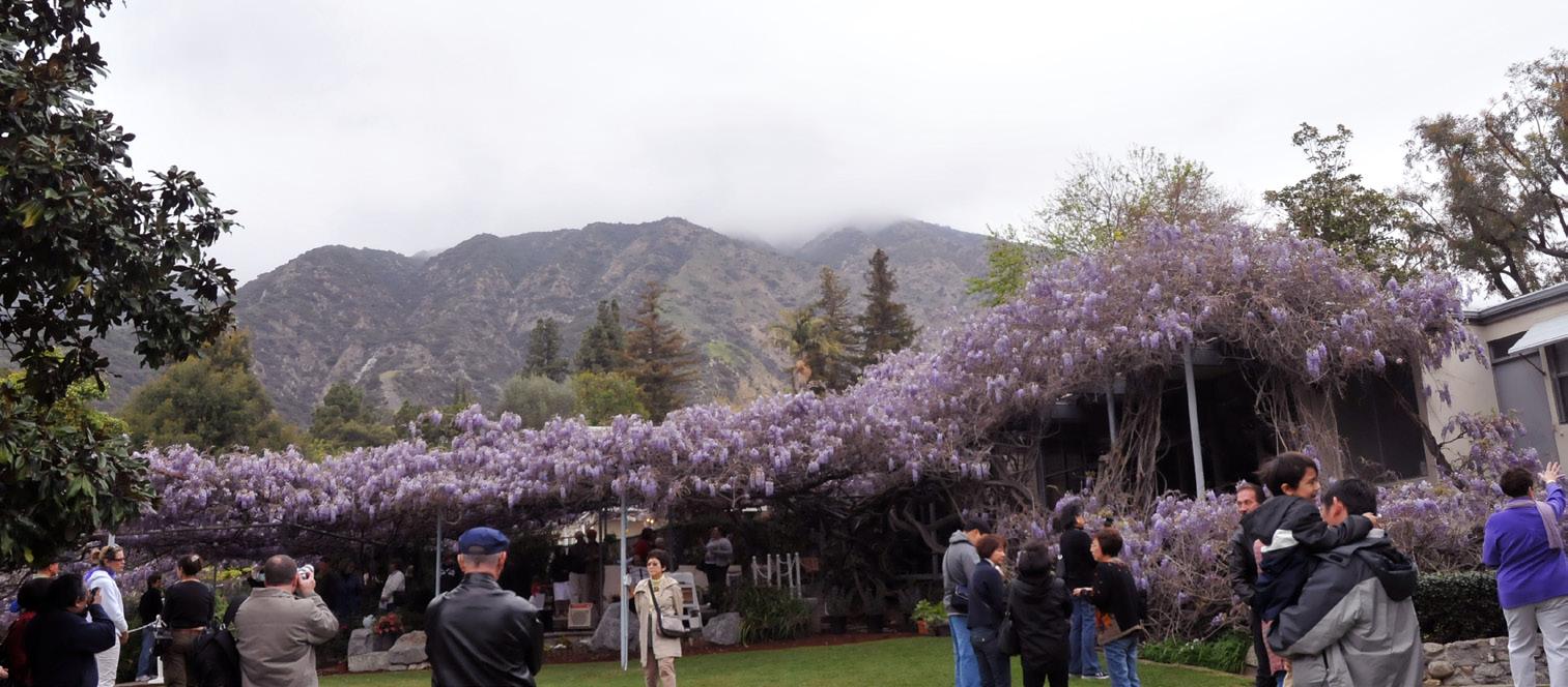 LevatoLaw, LLP Irvine, CA Office