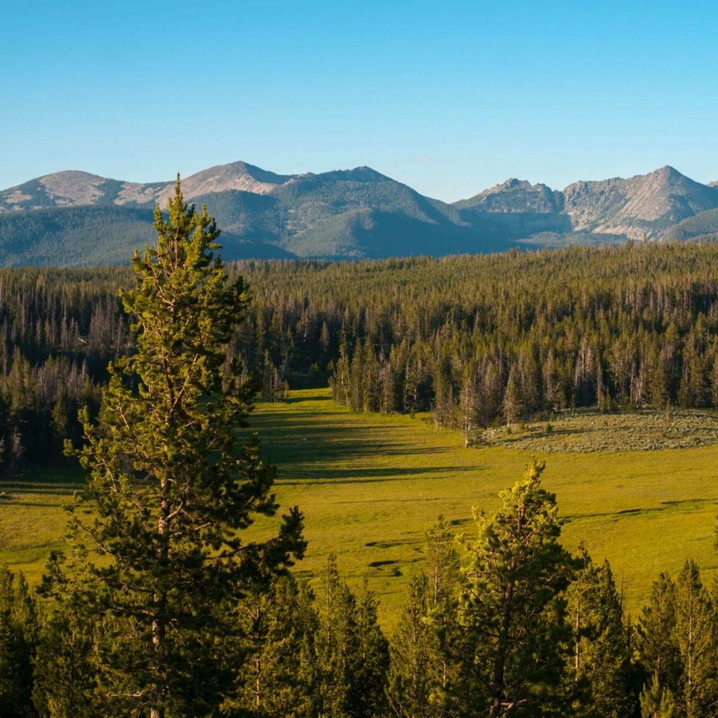 Axilon Law Group, PLLC Billings, MT Office