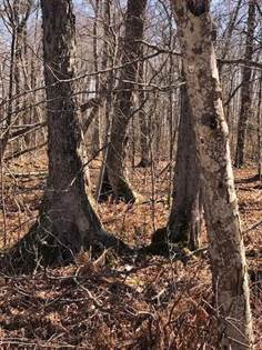 Brown & Brown PC St. Ignace, United States Office