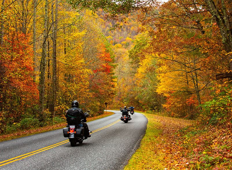 Tom McGrath's Motorcycle Law Group Richmond,  Office