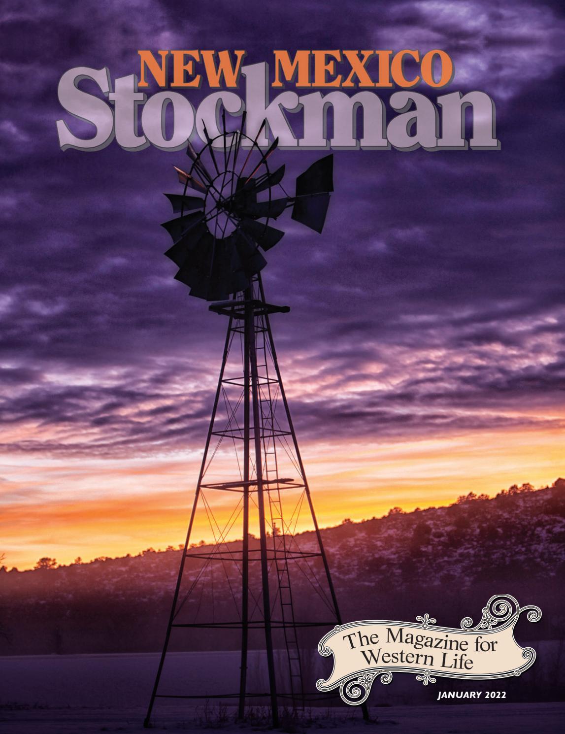 Stetson Law Offices, PC Albuquerque, NM Office