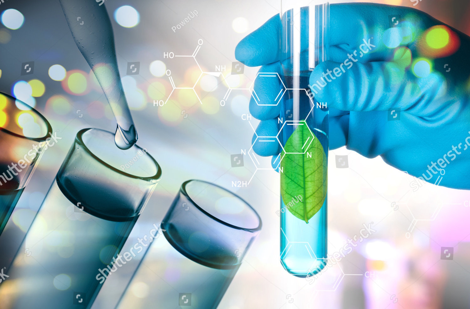 Shay Glenn LLP San Mateo, CA Office