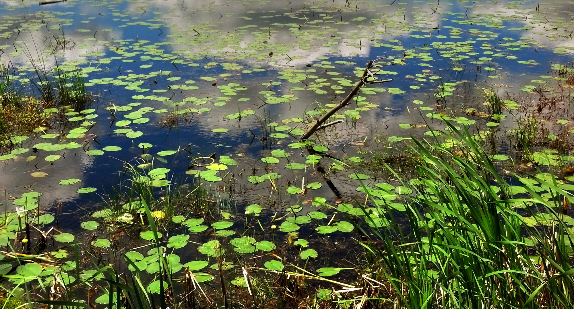 Timoney Knox LLP Mount Carmel, PA Office