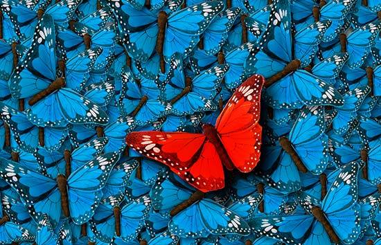 Plunkett Cooney, P.C Chicago, IL Office