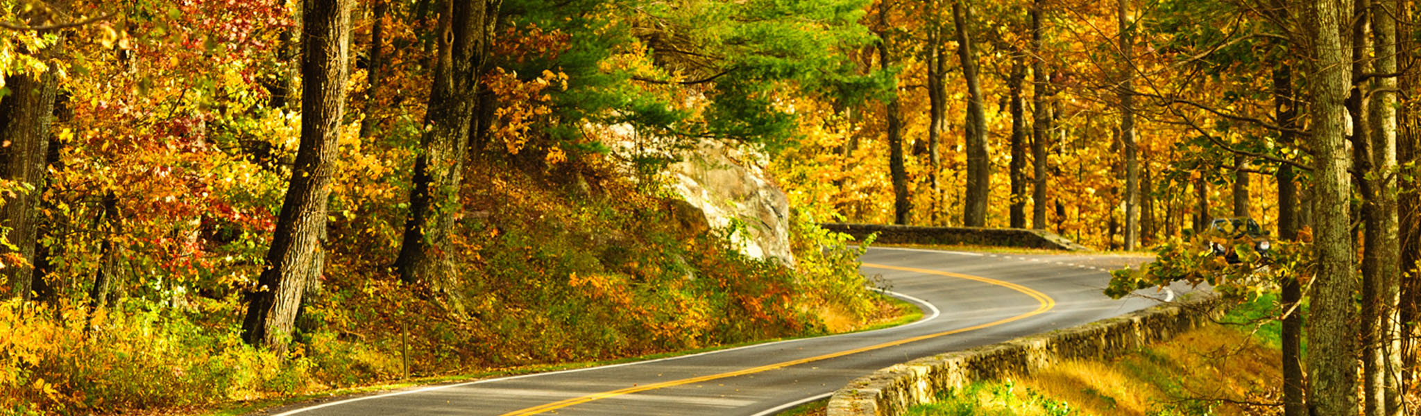 Kalfus & Nachman Roanoke, VA Office