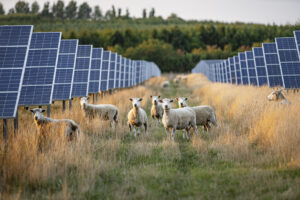 Magnusson Moscow, Russia Office