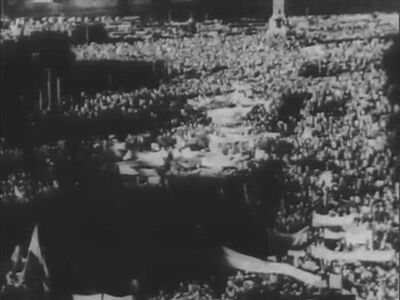 Lauro Law Firm Tampa, FL Office