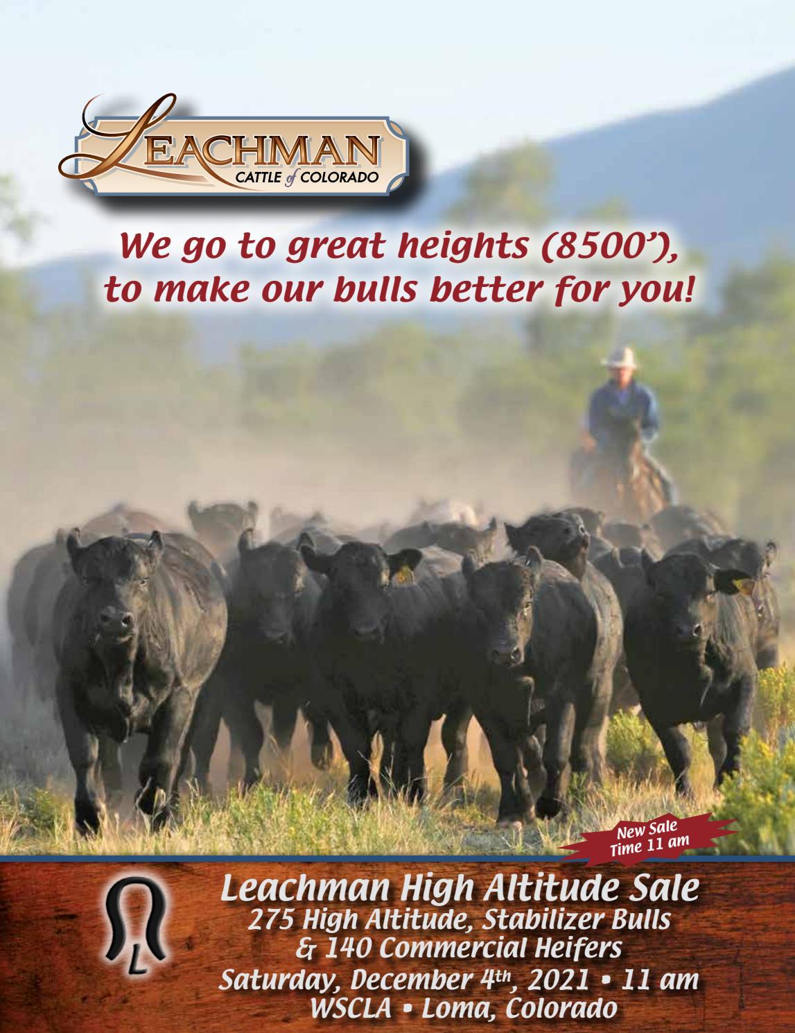 Mark A. Leachman PC Louisville,  Office