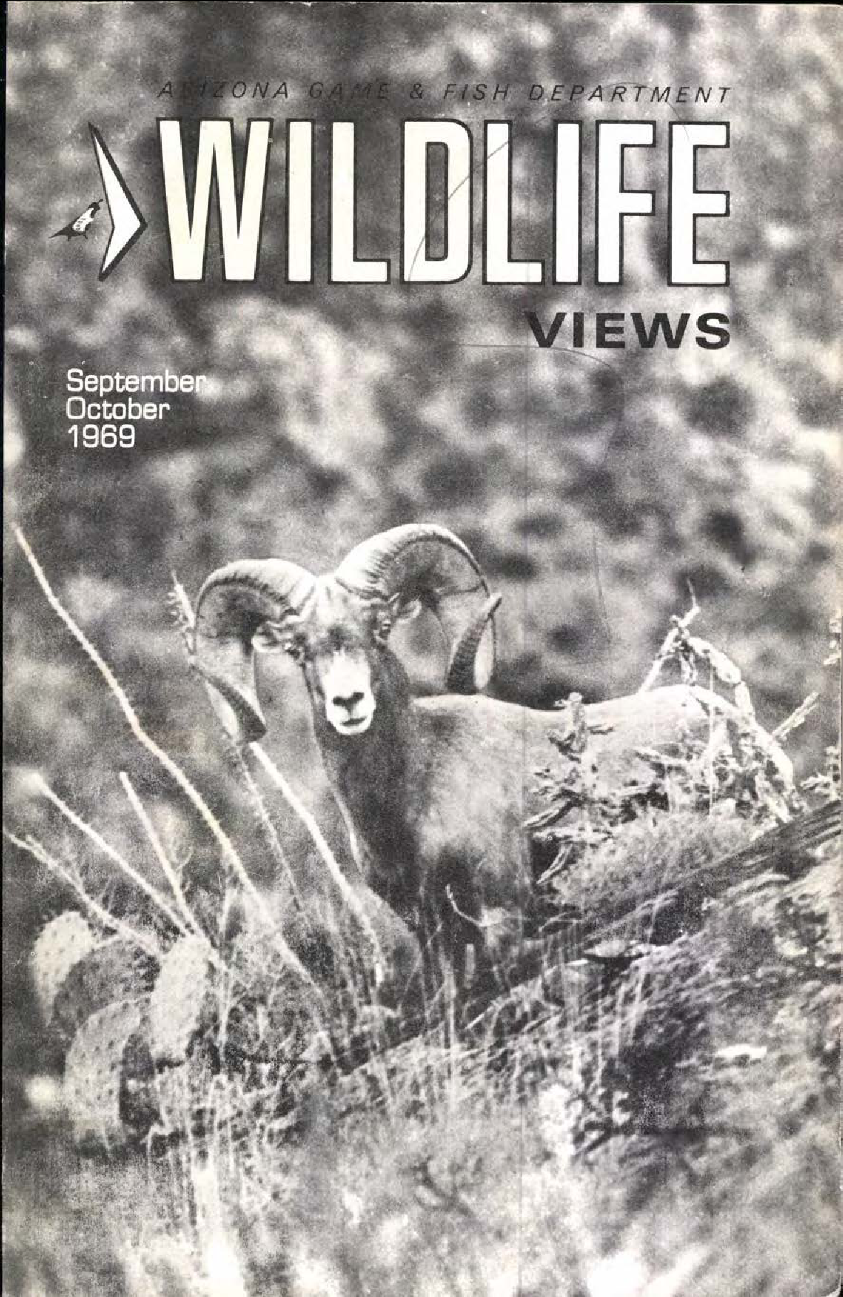 Bighorn Law Phoenix, AZ Office