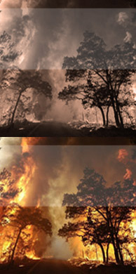 Bauman Loewe Witt & Maxwell, PLLC Scottsdale, AZ Office