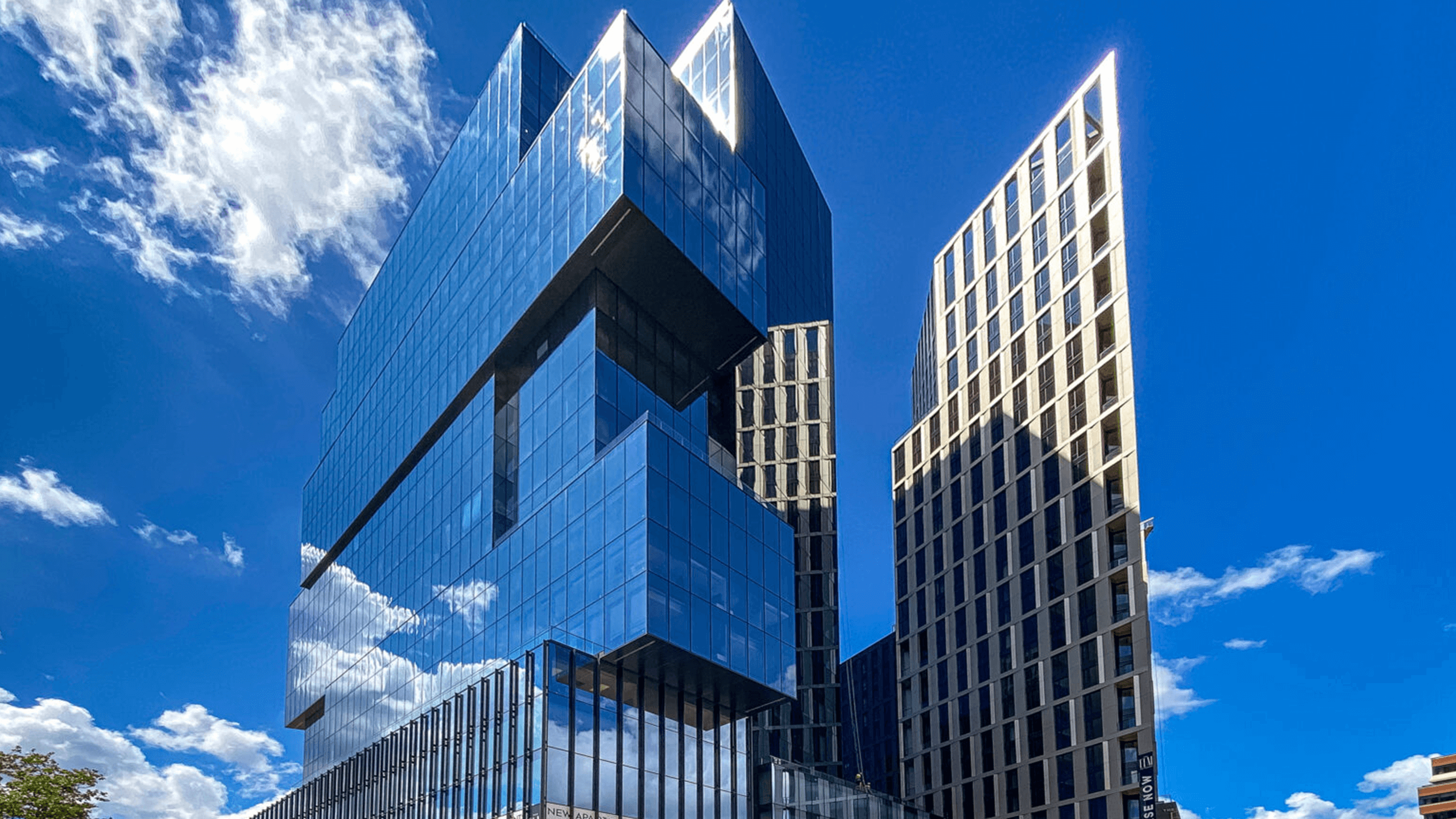 Thompson Miller, P.A Saint Petersburg,  Office