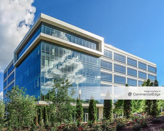 Waldon Adelman Castilla Hiestand & Prout Atlanta,  Office