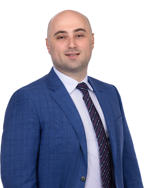 Shulman Law Firm Professional Corporation Toronto, Canada Office