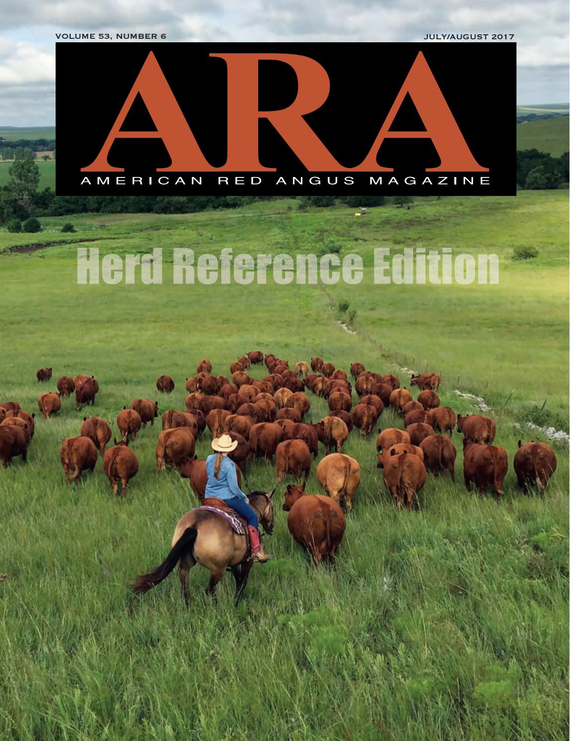 Martin & Martin, LLP Comanche, OK Office