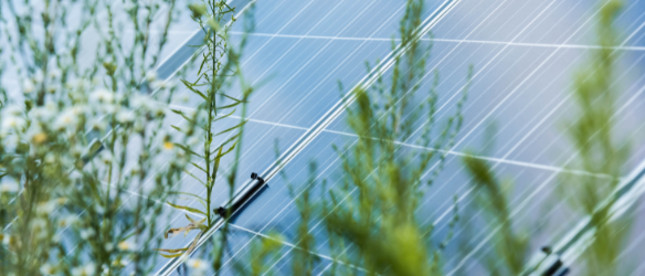 Avbreht, Zajc & Partners Ljubljana, Slovenia Office