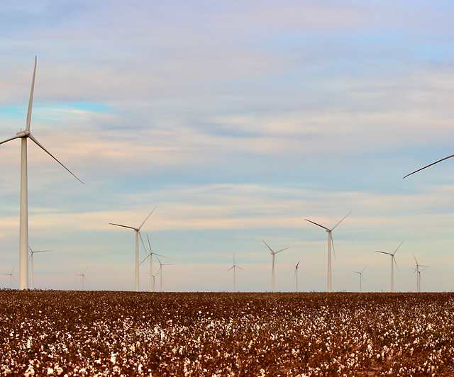 Ferguson Law Firm, P.C. Attorneys at Law Lamesa,  Office