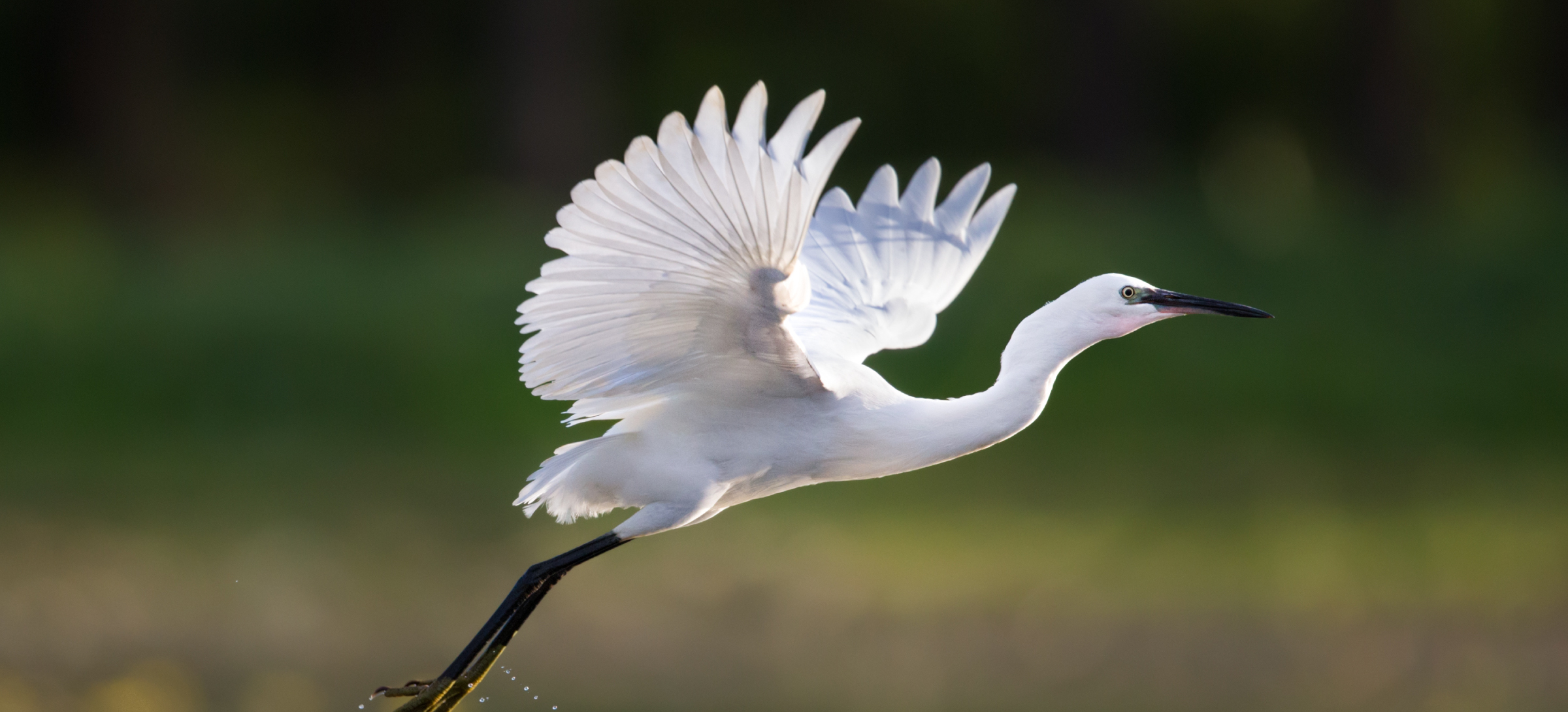 Hirschler Fleischer, a Professional Corporation Fredericksburg, VA Office